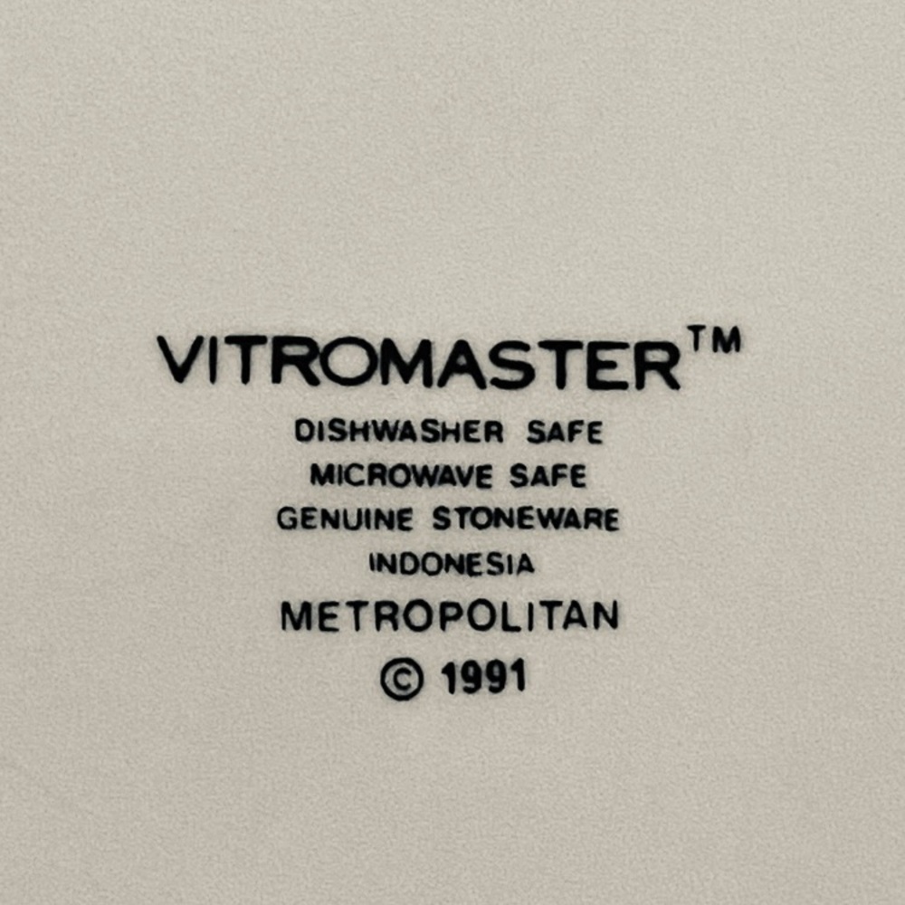 Vitromaster Metropolitan Stoneware Set of 2 Dinner Plates Platers 1991 VGC 12” - Picture 4 of 4